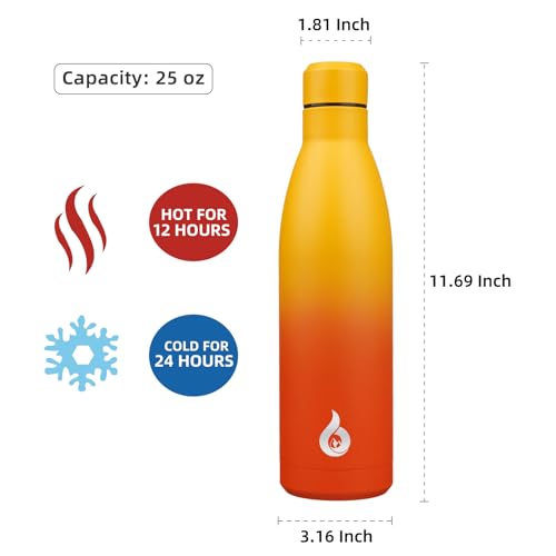 25 oz Insulated Stainless Steel Water Bottle