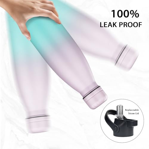 Insulated Water Bottle