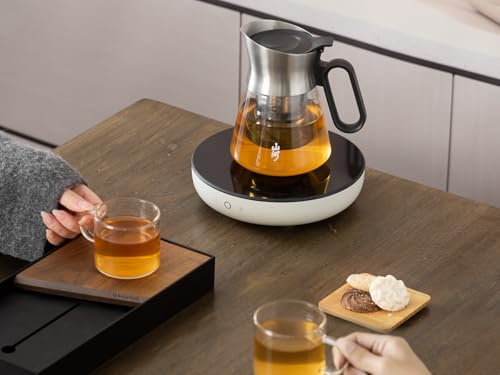 23oz Small Glass Teapot with Infuser For Loose Leaf Tea Steeper