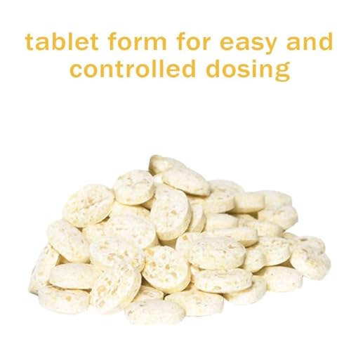 Grindz Professional Coffee Grinder Cleaning Tablets (3 Count)