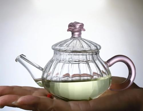 Mini Tea Pot Glass Teapot Small Tea Kettle for One person use