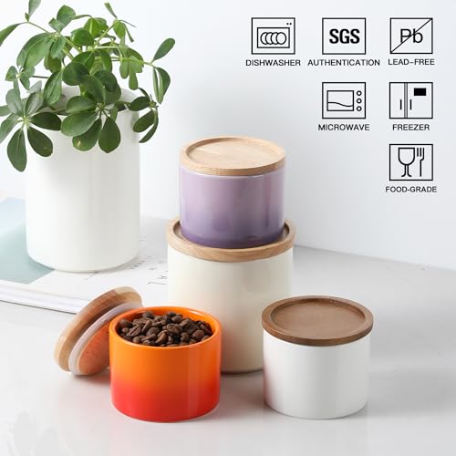 Sweejar Kitchen Canisters Ceramic Food Storage Jar
