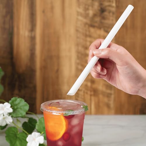 9" Boba Straws (1600 Count)