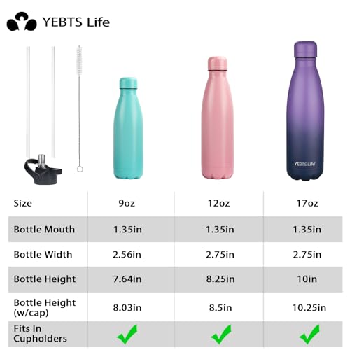 Insulated Water Bottle (2 Count)
