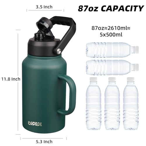 87oz Stainless Steel Water Bottle