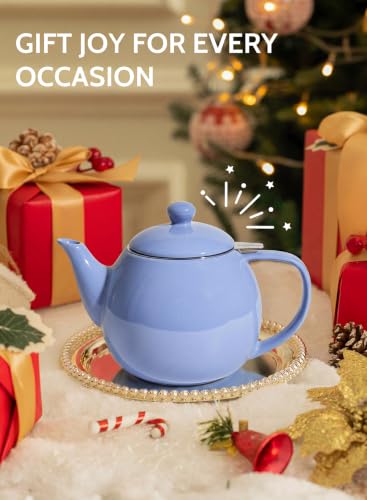 Porcelain Teapot 27 oz with Infuser for Loose Leaf Tea