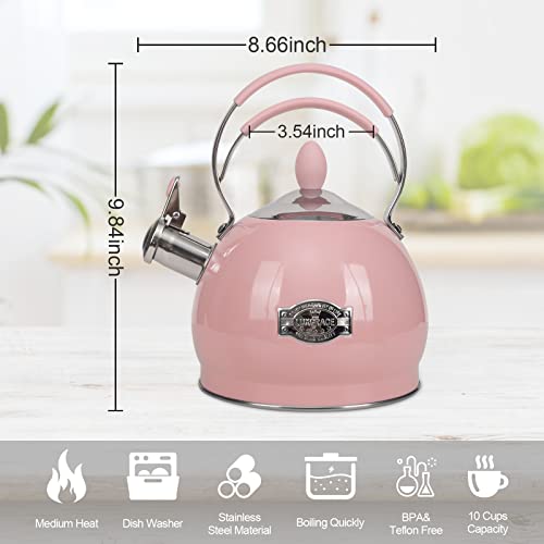 Whistling Tea Kettle Stainless Steel Teapot