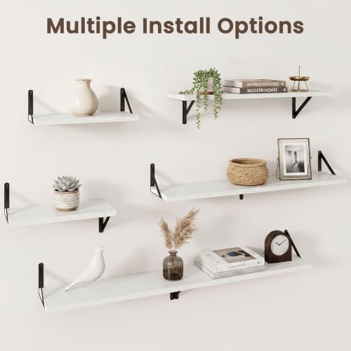 Wall Mounted Floating Shelves Set of 2 (2 Count)