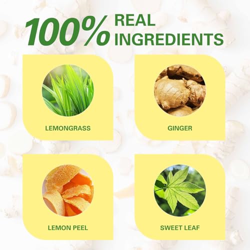 Lemon Ginger Herbal Tea Bags 100 Count