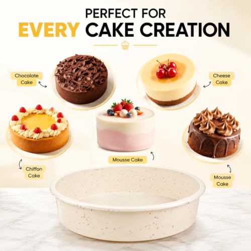 10 Inch Round Cake Pan with Stainless Steel Frame