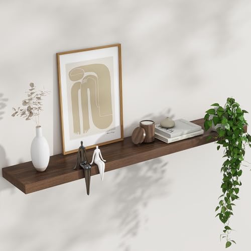 Floating Shelves for Wall