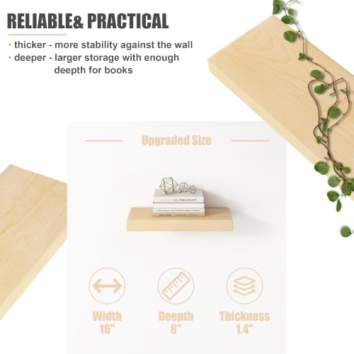 Floating Shelves for Wall