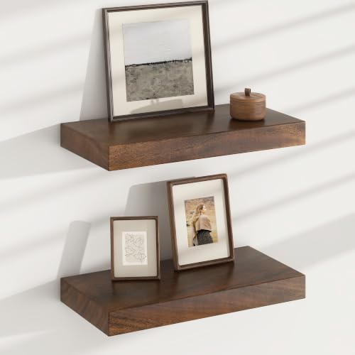 Floating Shelves for Wall