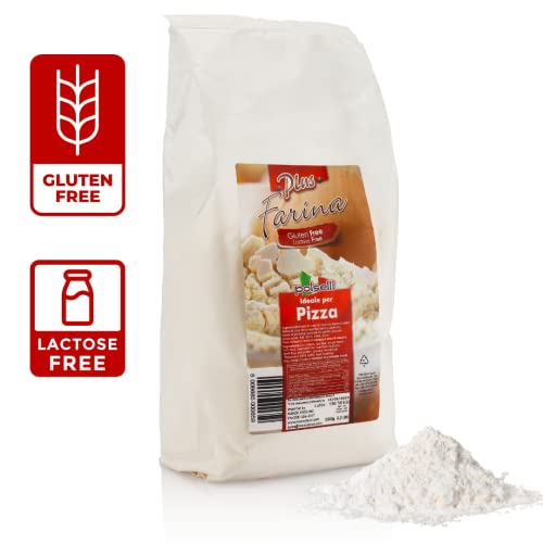 Gluten Free Flour (35.2 Ounce)
