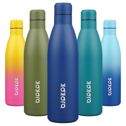 25 oz Insulated Stainless Steel Water Bottle