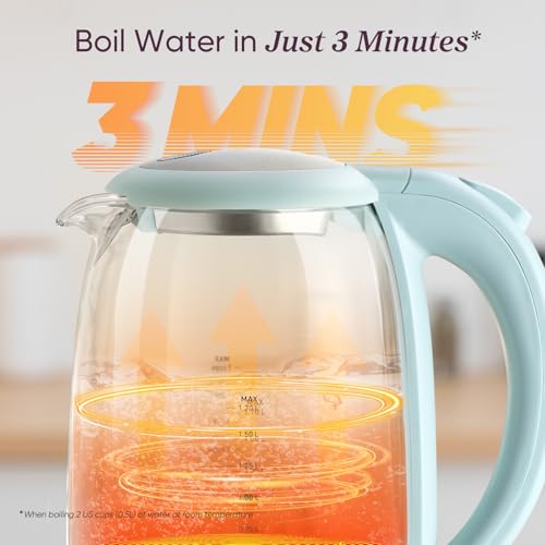 Electric Kettle