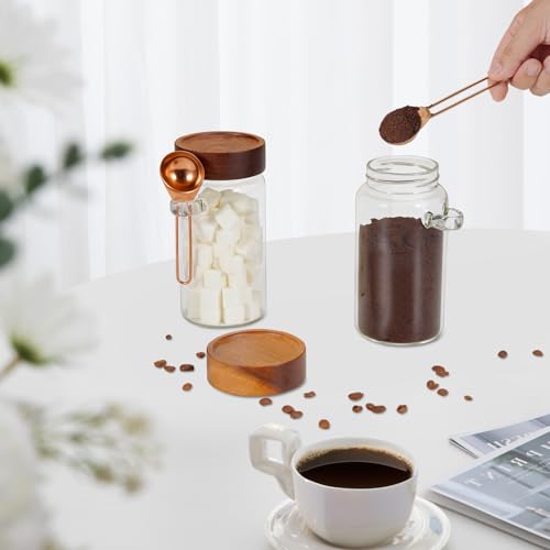 18 oz Glass Spice Jars with Spoons Wooden Airtight Lid Sugar Coffee Ground Canister Round Glass Food Storage Container for Herb Seasoning Cookies Tea Condiment Salt