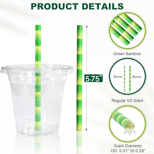 5.75" x 0.31" Green Bamboo Disposable Paper Drinking Straws for Short Drinks (250 Count)