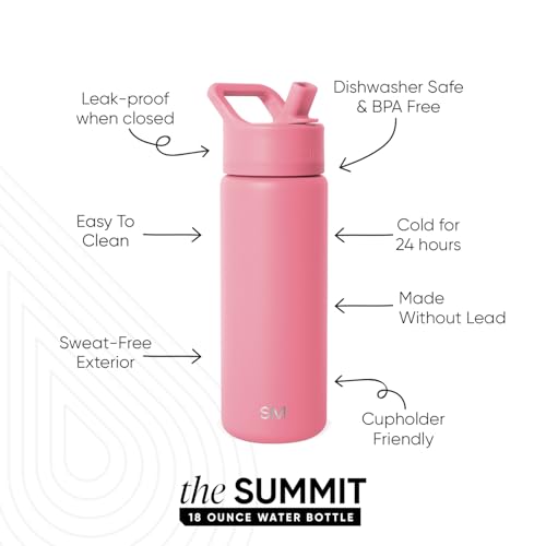 Insulated Water Bottle with Straw