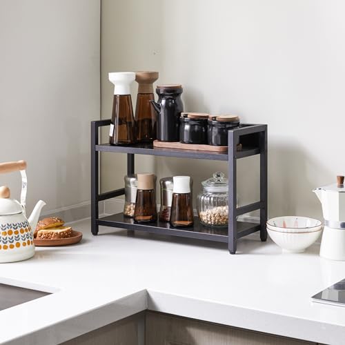 2 Tier Spice Rack