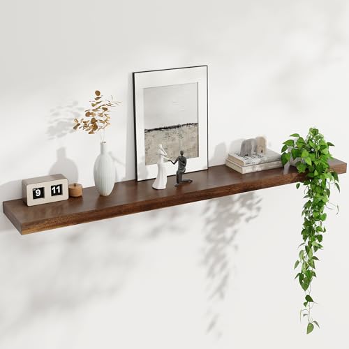 Floating Shelves for Wall