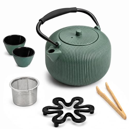 Cast Iron Teapot Set with 2 Cups