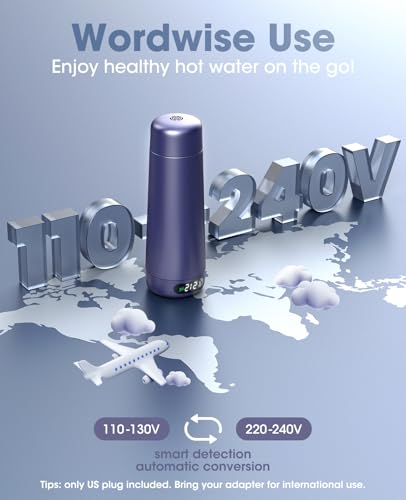 Portable Electric Kettle for Travel Global Use 110