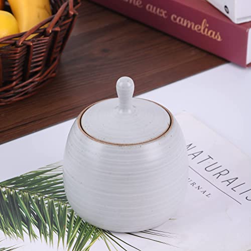 Kitchen Canisters Retro Ceramic Jar with Airtight Lid White
