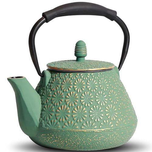 Cast Iron Teapot