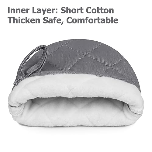 Mini Oven Mitts 2 (2 Count)