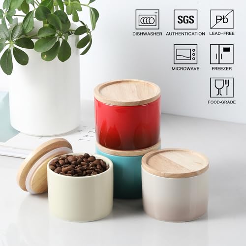 Sweejar Kitchen Canisters Ceramic Food Storage Jar