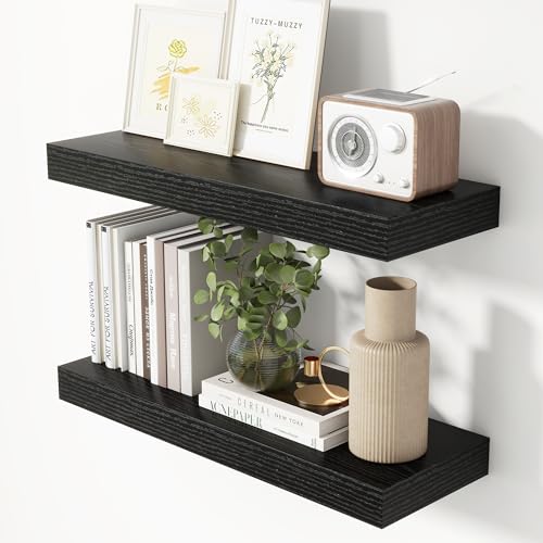 24 Inch Floating Shelves for Wall Black Shelves Set of 2 (2 Count)