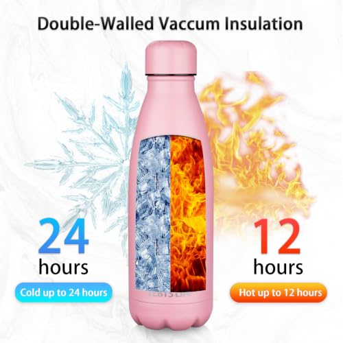 Insulated Water Bottle (2 Count)