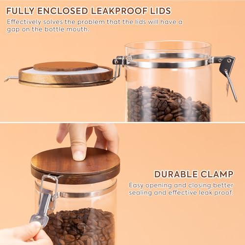 Coffee Canister with Shelf (3 Count)