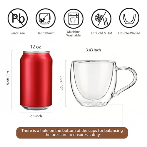Double Wall Glass Coffee Mugs with Handle (2 Count)