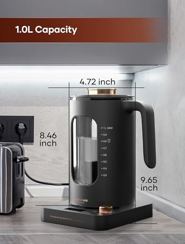 Electric Tea Kettle with Infuser