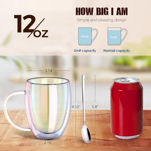 Double Wall Glass Coffee Mugs Set of 2