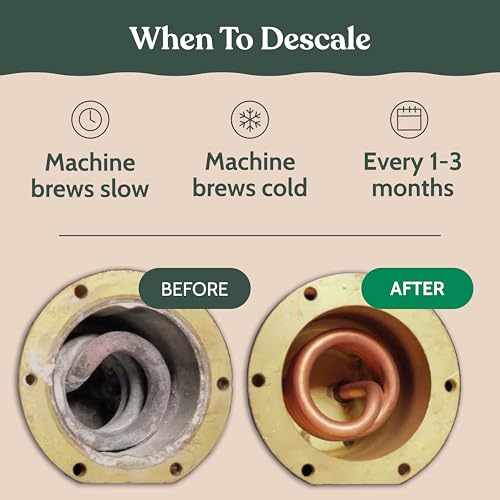 Descaling and Cleaning Kit Compatible with Nespresso Originaline (16.9 Fl Oz)