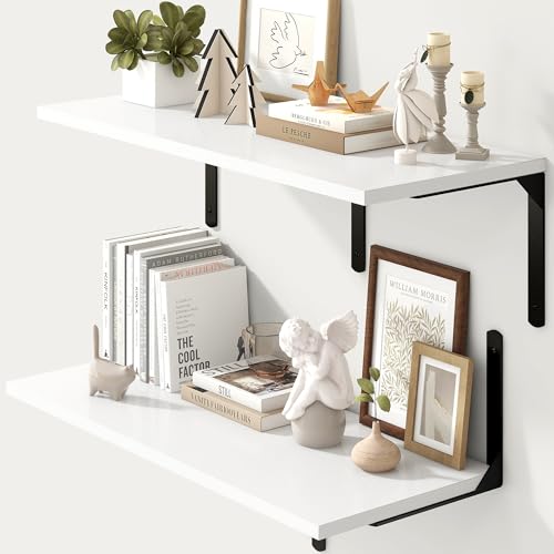 Floating Shelves for Wall (2 Count)