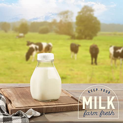 16 Oz Glass Milk Bottle with Lid (2 Count)