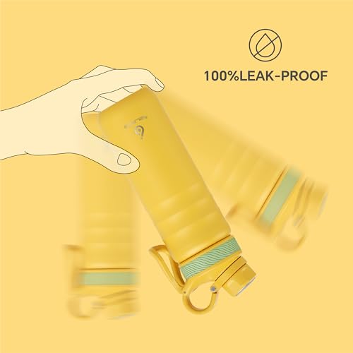 24oz Stainless Insulated Bottle with 2 Leak