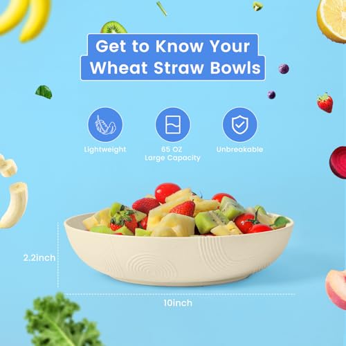 65 oz Large Salad Bowls Wheat Straw Big Bowls 10 inch Serving Bowls Wheat Straw Plates Bowl Set of 6 Wide and Shallow Bowl for Kitchen Dishwasher Safe