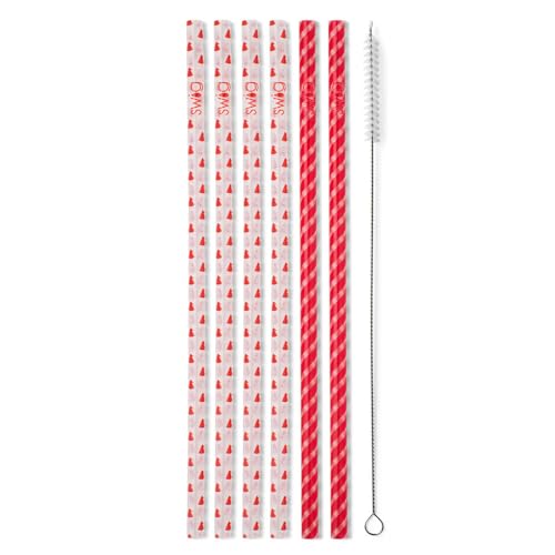 Pack of 6 Reusable Plastic Straws with Cleaning Brush (6 Count)