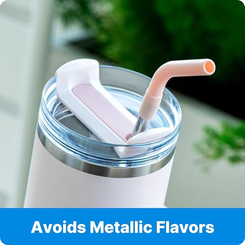 6Pcs Silicone Straw Tips for Metal Straw and Other 0.31 Inch Straws (6 Count)