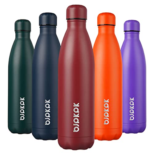 25 oz Insulated Water Bottle