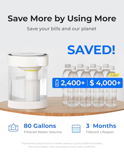 ED12W Glass Rechargeable Water Filter Dispenser