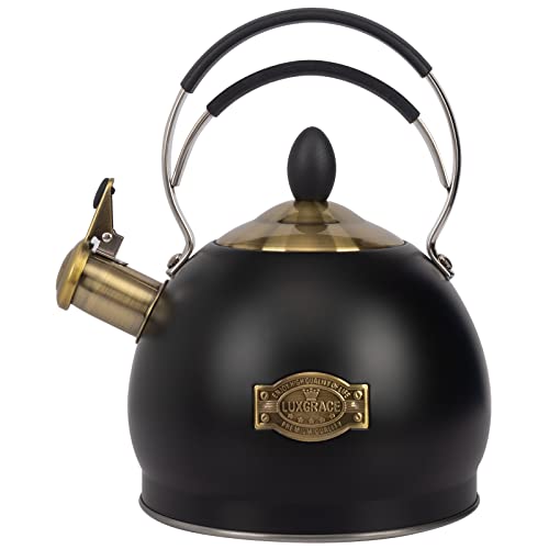 Whistling Tea Kettle Stainless Steel Teapot