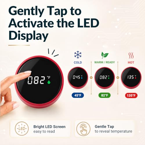 Tea Infuser for Loose Leaf Tea Smart Water Bottle with Fahrenheit Temperature Display