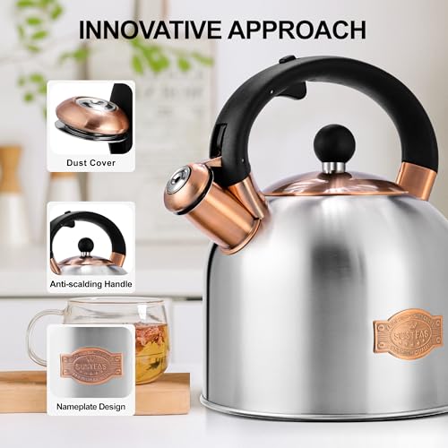 Tea Kettle 3.17QT Stainless Steel Whistling Tea Pot