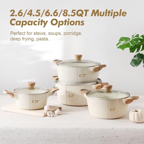 Ceramic Nonstick Stock Pot with Lid (2 Count)
